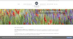 Desktop Screenshot of mnconsultors.com
